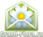 Логотип компании Доставка цветов Гранд Флора (ф-л г.Вязьма)